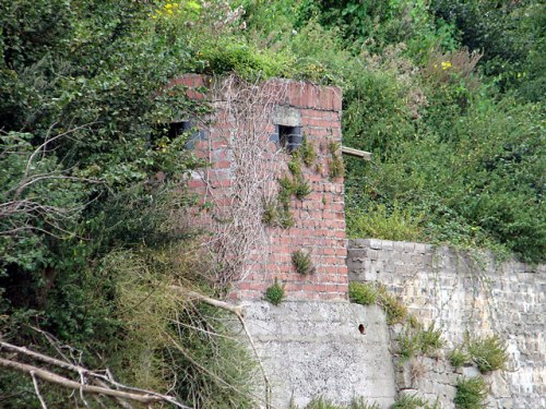 Pillbox FW3/24 Beachley #1