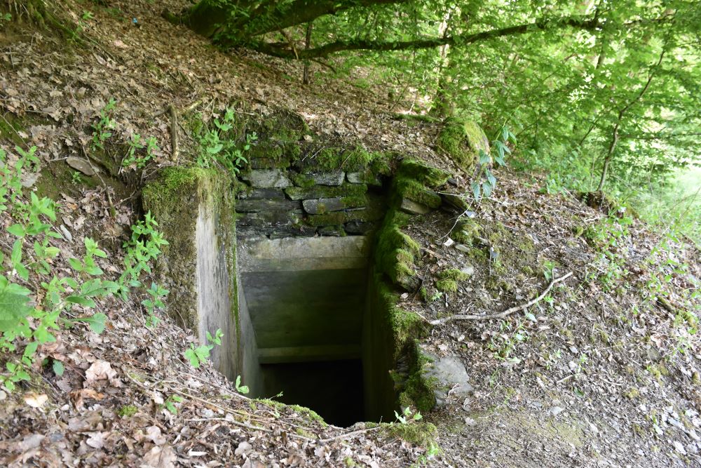 Concrete Defense Structures Devèze Line Bodange #3