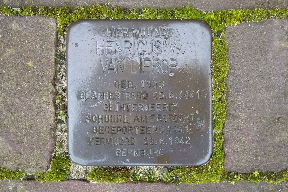 Stolperstein Het Jach 15 #1