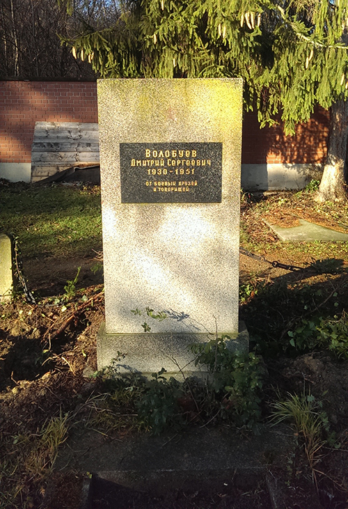 Soviet War Graves Kalksburg #3