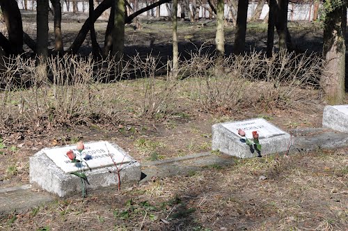 Soviet War Graves Matīsa kapos #2