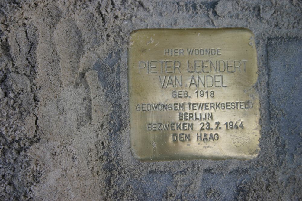 Stolperstein Kraneweg 4 #1