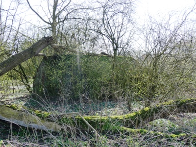 Group Shelter Type P Griftenstein