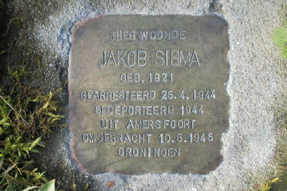 Stolperstein Ellerhuizen 16 #1