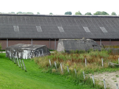 Groepsschuilplaats Type P Goilberdingerdijk #2