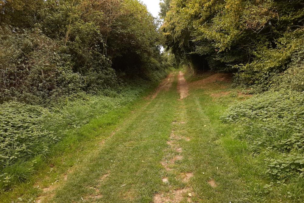 The Sunken Lane