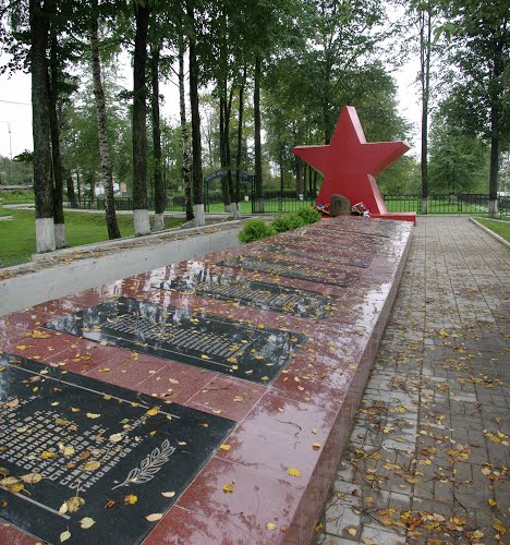 Mass Grave Soviet Soldiers Tver #2