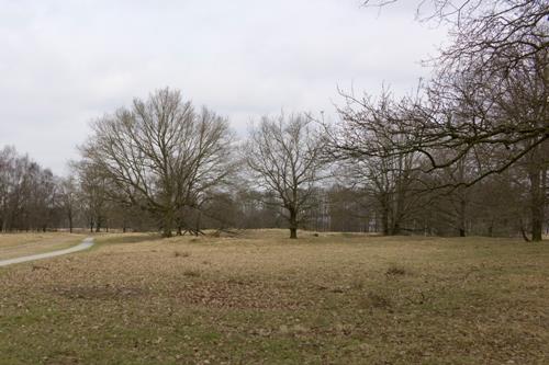 German Anti-tank Ditch Ballorveld #1