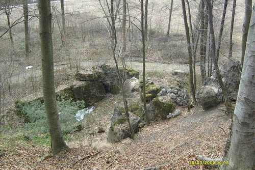 Molotov Line - Remains Casemate Załuż (E) #1