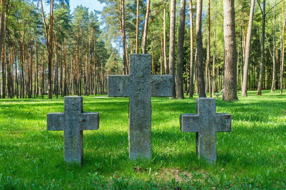 Duitse Oorlogsbegraafplaats Smolensk-Nishnjaja Dubrowinka #5