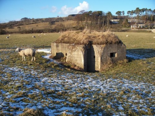 Lozenge Bunker Pauperhaugh #1