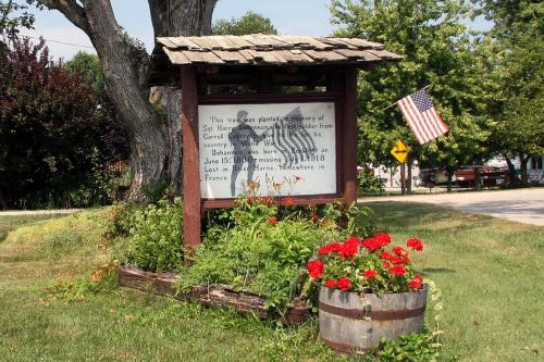 Remembrance Tree Sgt. Harry Bohannon