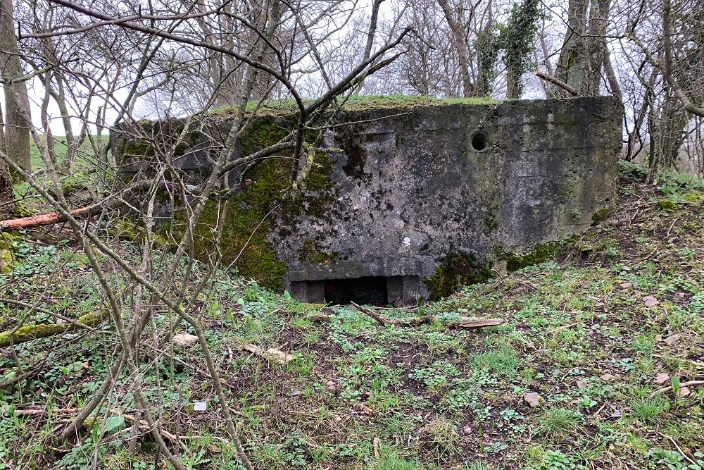 Bunker C - Position Avance Dolhain (Limbourg) #2