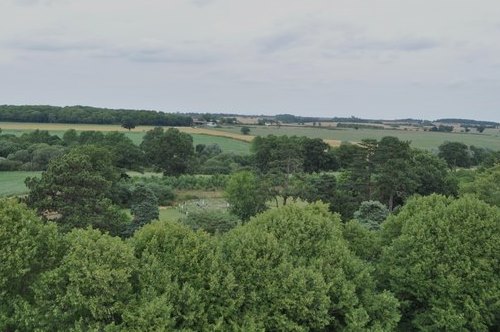 Commonwealth War Graves Ditchingham Cemetery #1