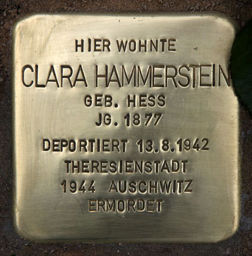 Stolperstein Delbrckstrae 17