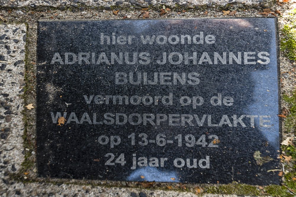 Memorial Stone Schimmelpenninckstraat 50 #1