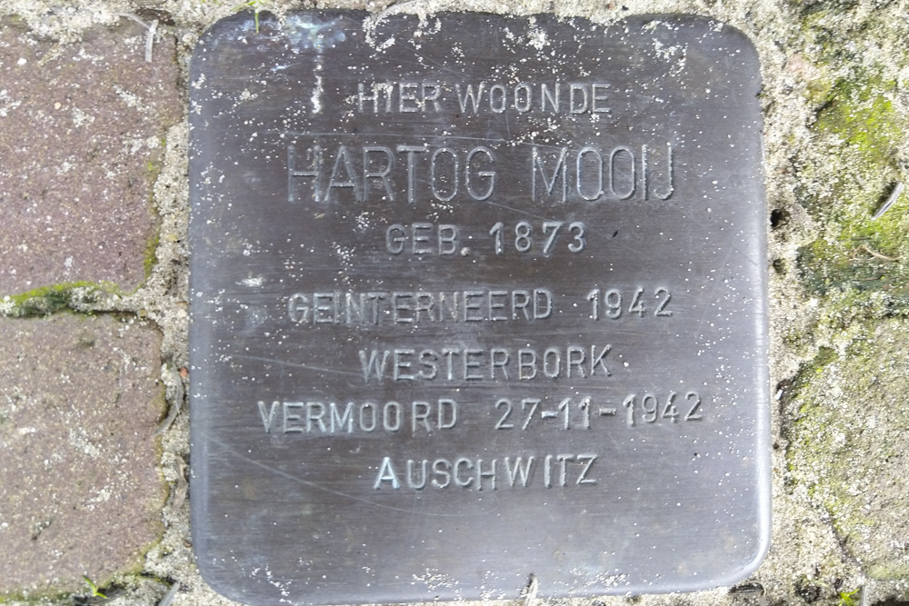 Stolpersteine Kievietstraat 50 #3