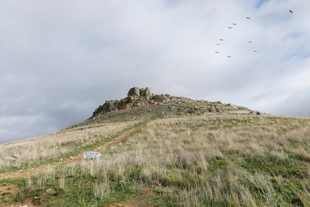 Memorial Battle of Arapiles #4