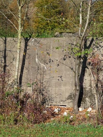 Westwall - Tank Wall Schneeberg #5