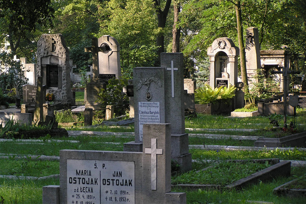 Poolse Oorlogsgraven #2
