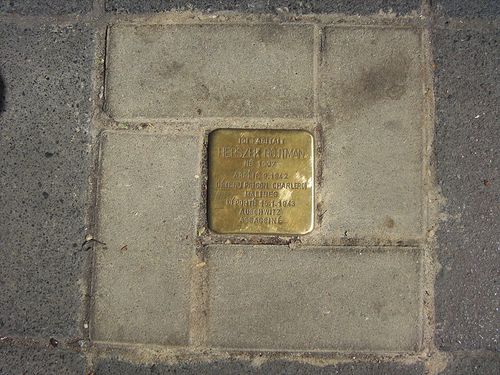 Stolperstein Avenue Paul Janson 6 #1