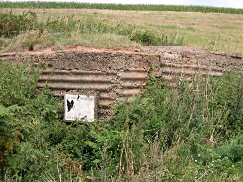 Bunker FW3/26 Budleigh Salterton