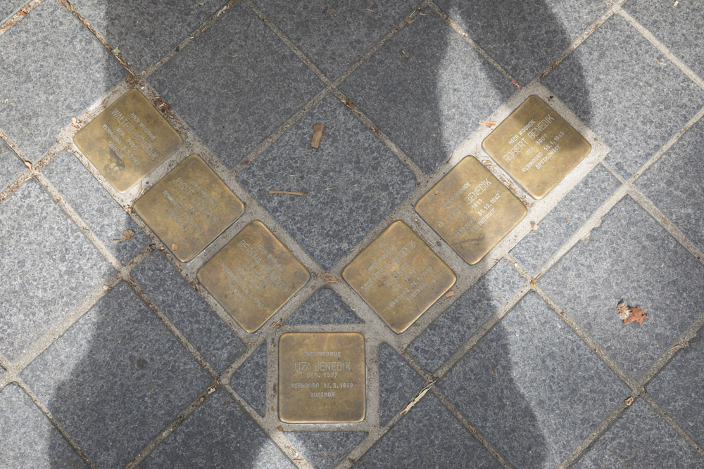 Stolpersteine Wilhelminalaan 25 #3