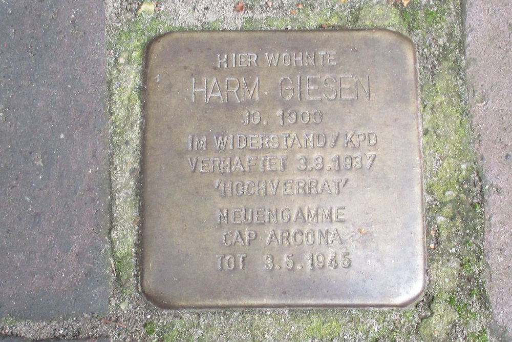 Stolperstein Graf-Johann-Strae 24 #1