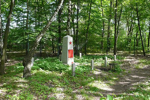 Mass Grave Soviet Prisoners of War 1942-1942