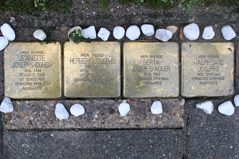 Stolpersteine Dokter Welfferweg 4 #1