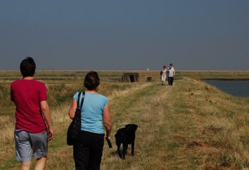 Pillbox FW3/22 Paglesham Eastend #1