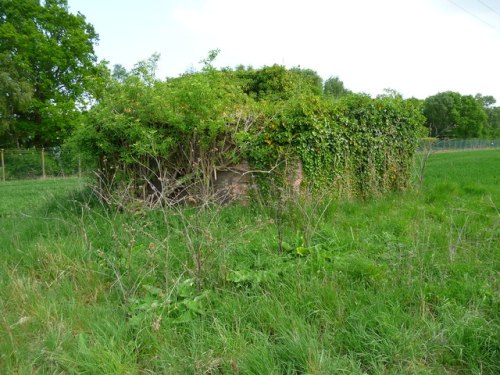 Pillbox FW3/22 East Dean #2