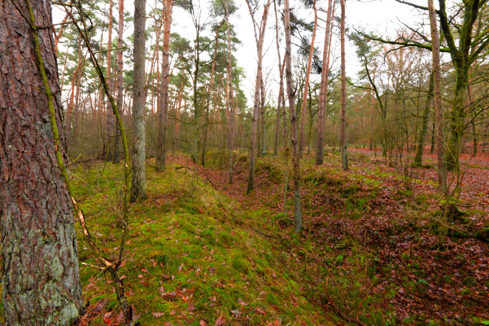 German Anti-Tankditch Near Ringstand 80 #3