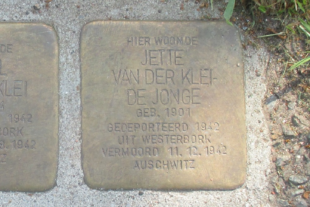 Stolpersteine Holwierderweg 8 #3