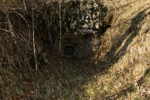 Alpenmuur - Fort Nr. 1 Studena #1