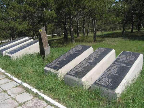 Mass Grave Soviet Soldiers 7th Marine Brigade #1