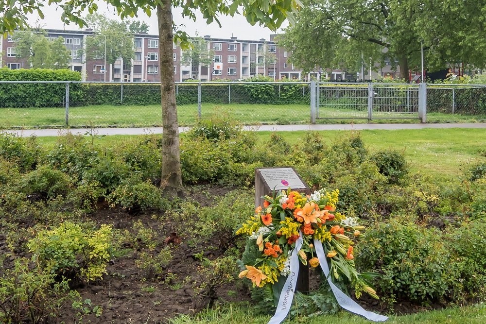 Bevrijdingsboom Old Hickoryplein Maastricht #1