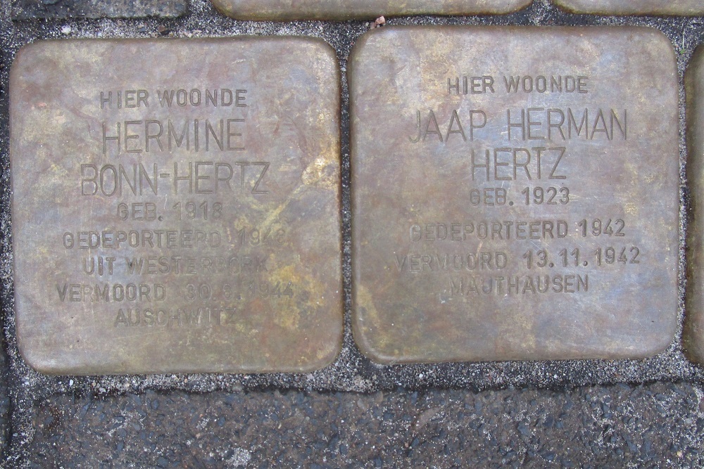 Stolpersteine Laan van Leeuwesteyn 22 #3