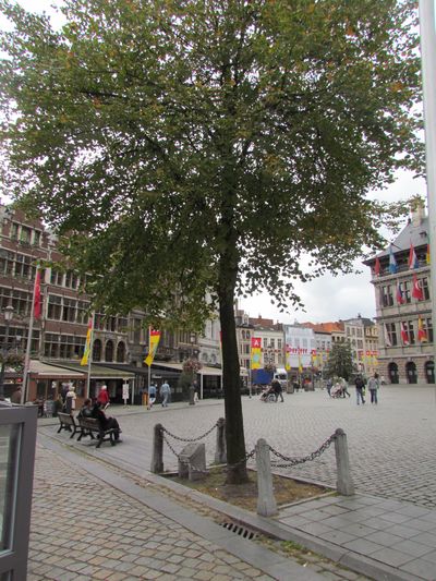 Bevrijdingsboom Antwerpen #3