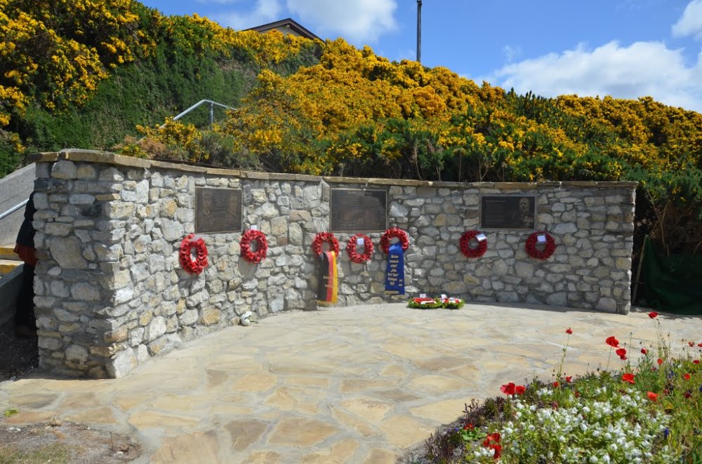 Monument Slag van de Falklandeilanden #1
