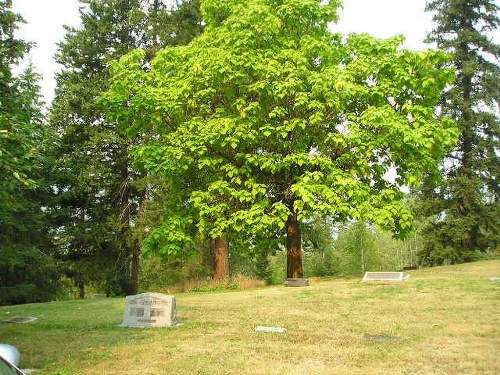 Commonwealth War Graves Salmon Arm Cemetery #1