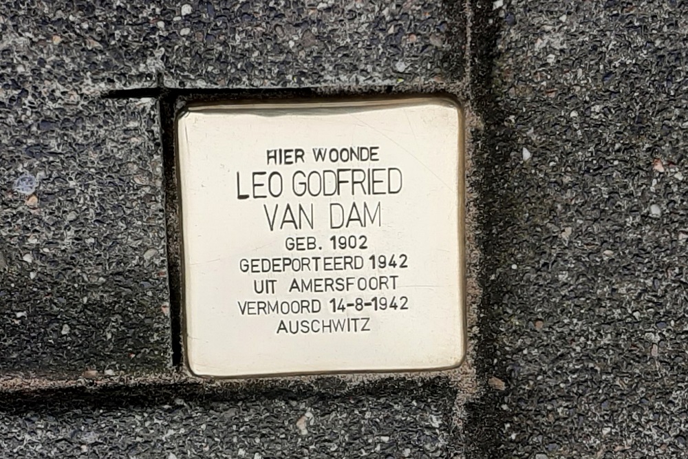 Stolperstein Wilhelminastraat 49 #1