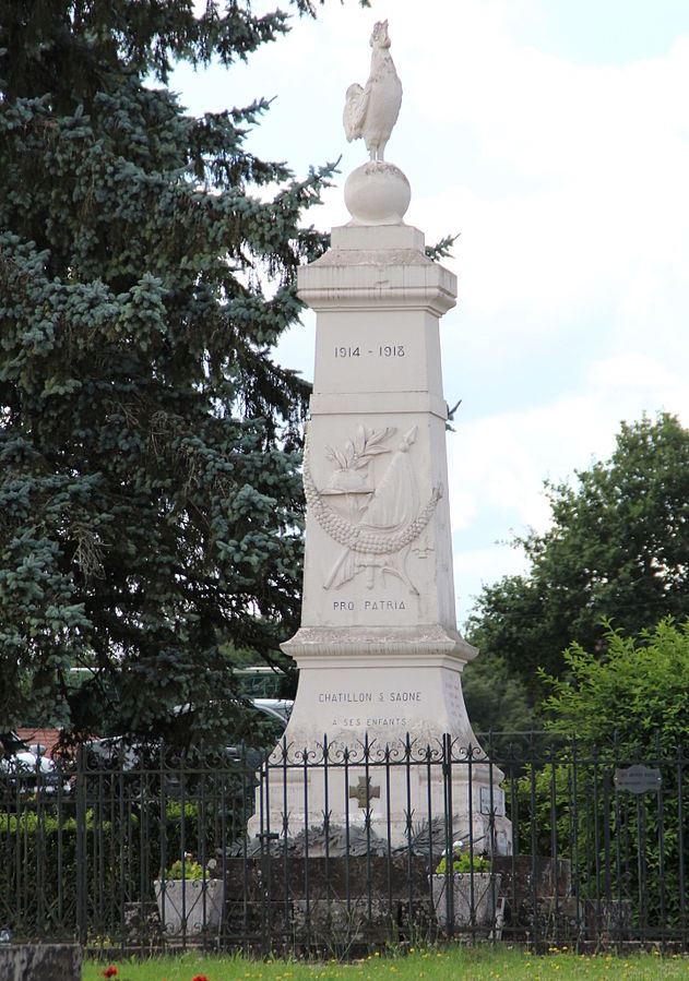 Oorlogsmonument Châtillon-sur-Saône #1