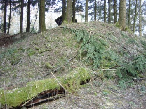 Westwall - Restanten Bunkers Schneifel #2