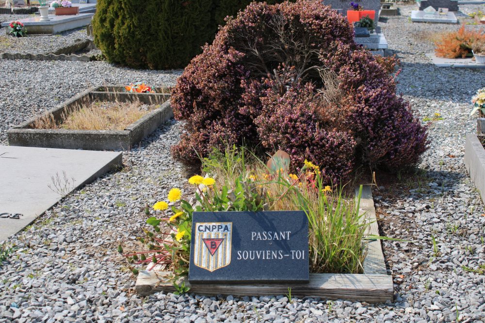 Belgian Graves Veterans Beloeil #3