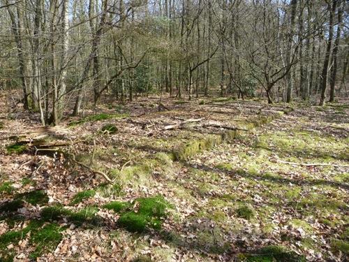 Group Shelter Type 1918/II De Fransche Kamp #2