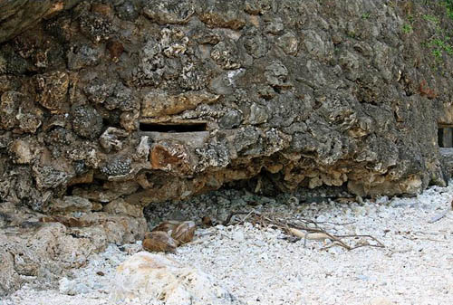 Japanese Casemate Tank Beach #2