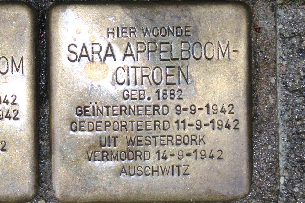 Stolpersteine Swammerdamstraat 53 #3