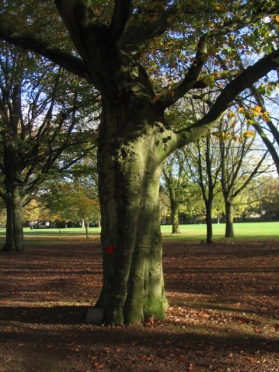 Herdenkingsbomen War Memorial Park