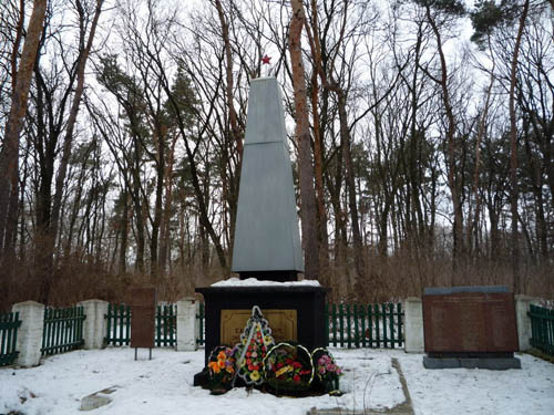 Mass Grave Soviet Soldiers Lokhvytsia #1